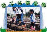 親子体験農園 親子体験農園